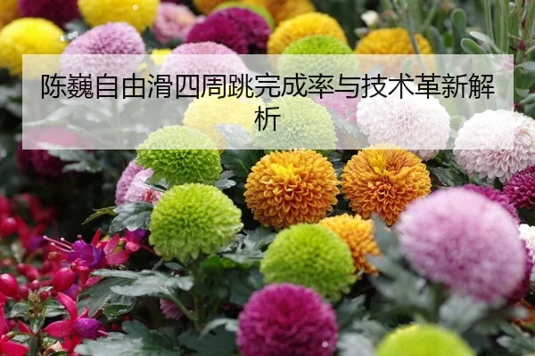 chen-wei-zi-you-hua-si-zhou-tiao-wan-cheng-lv-yu-ji-shu-ge-xin-jie-xi-2-948.jpg